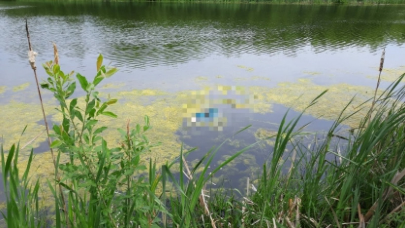 В реке под Саратовом нашли труп пенсионерки, пропавшей два дня назад