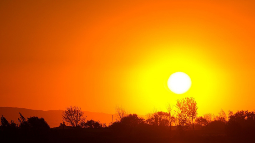 В Саратовской области объявили оранжевый уровень опасности из-за жары