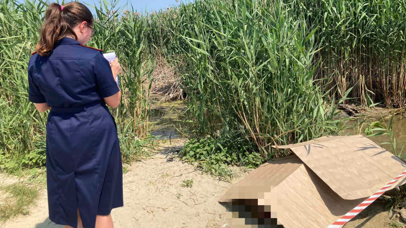 В Саратове труп утопленника накрыли картонными коробками