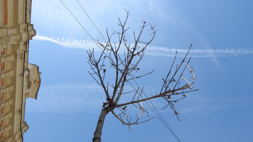 Гидрометцентр: Июль в Саратове будет аномально жарким
