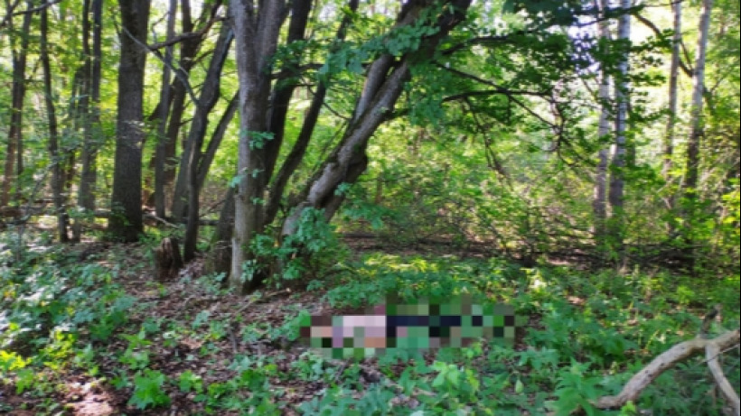 В лесу под Петровском нашли труп молодого сельчанина
