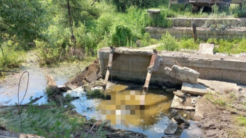 В водоеме Татищевского района пастух нашел труп мужчины