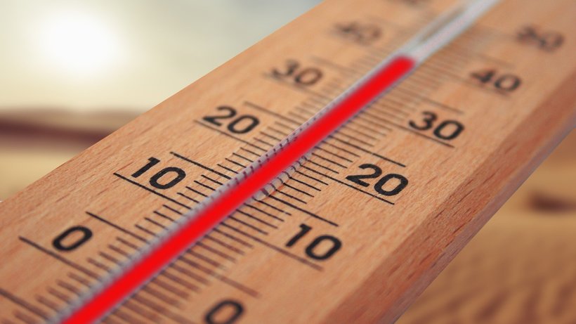 В Саратове ударят грозы при жаре +40