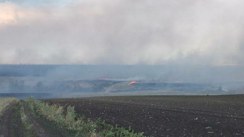 Лесной пожар под Вольском. Местных чиновников проверят на исполнение обязанностей