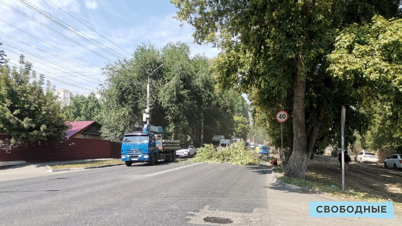 Упавшее дерево перекрыло половину дороги на Политехнической