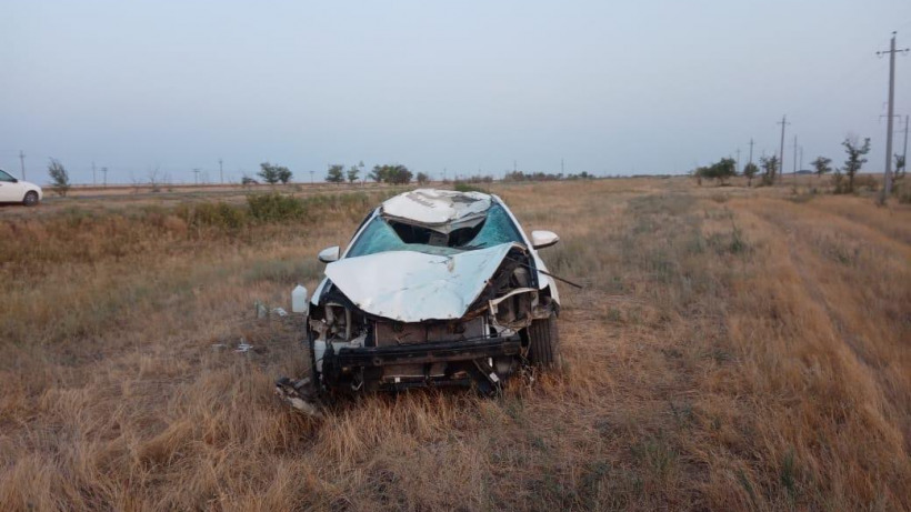 В ДТП под Алгаем водитель Toyota Camry сбил лошадь и попал в больницу