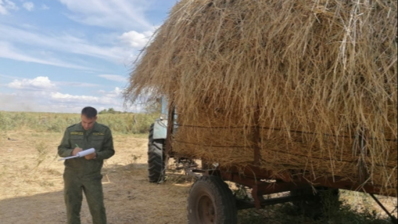 Под Красноармейском женщина упала со стога сена и погибла