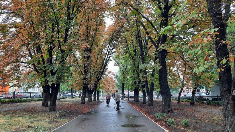 До свидания, Рахова: еще одну зеленую улицу Саратова ждет реконструкция