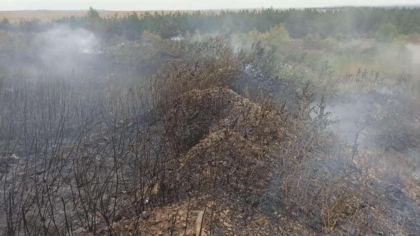 Крупный пожар под Красноармейском уничтожил четыре гектара поля и леса 