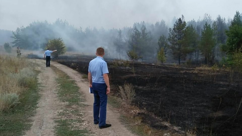Саратовская область оказалась лидером в Приволжье по масштабам лесных пожаров