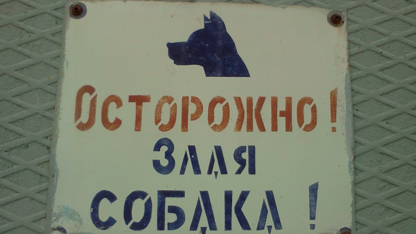На улице в Татищеве собака откусила девушке кусок губы