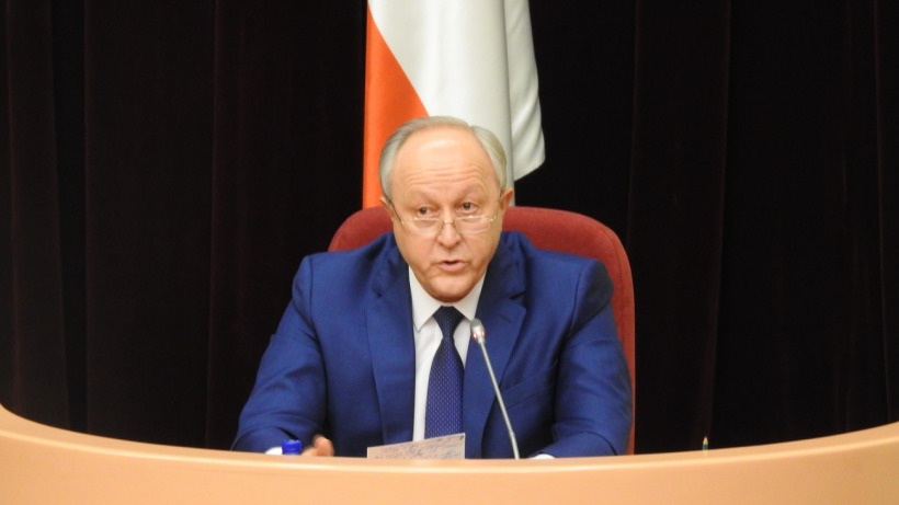 Губернатор призвал саратовских депутатов самим решать проблему бродячих собак