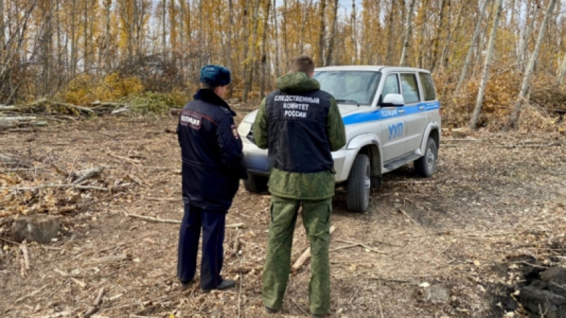 В посадках под Новыми Бурасами сухая ветка насмерть придавила мужчину