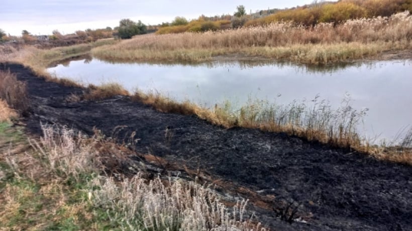 Под Саратовом рыбаки подожгли камыш у реки. Один из них погиб