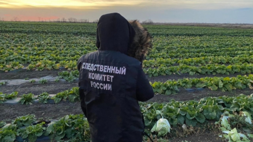 В поле под Ершовом женщина на внедорожнике сбила 12-летнего мальчика. Ребенок умер в больнице