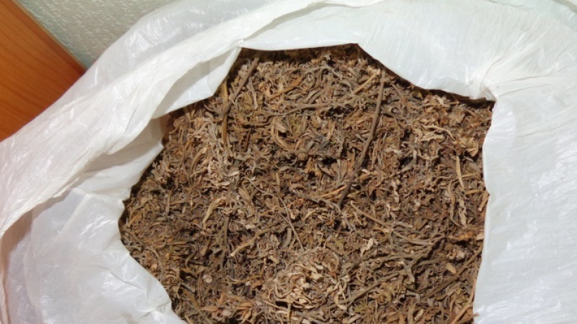 Полицейские нашли у жителя Энгельсского района 700 граммов марихуаны