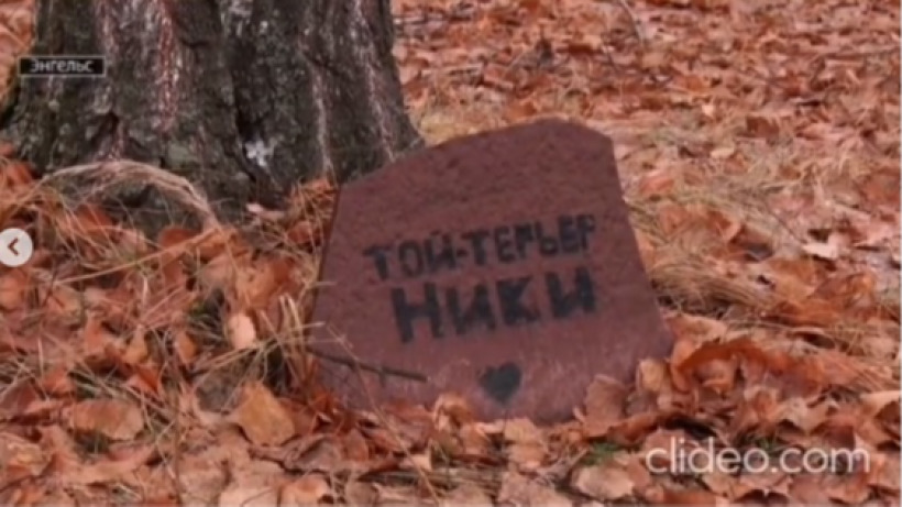 В энгельсском лесопарке «Тинь-Зинь» уничтожили кладбище домашних животных