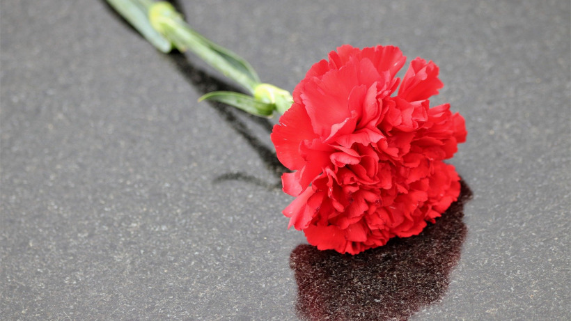 Во время военной спецоперации в Украине погибли еще два саратовца