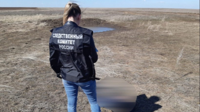 В поле под Новоузенском нашли тело женщины 