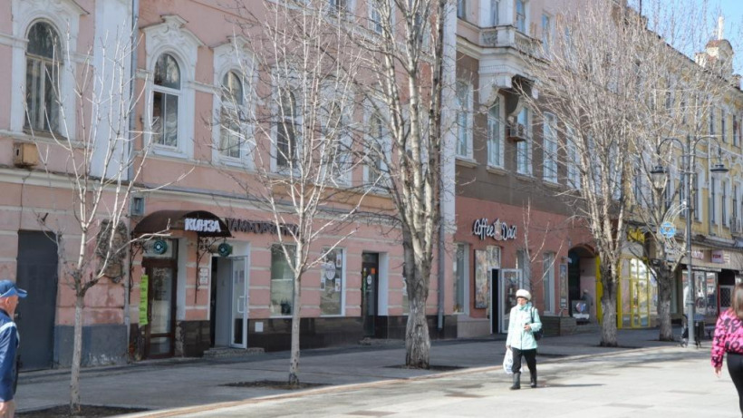 Мэрия: На проспекте Кирова в Саратове высадят 60 деревьев