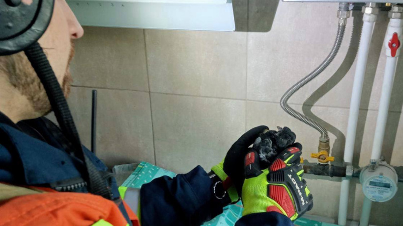 В Аткарске спасатели помогли выбраться голубю из дымохода