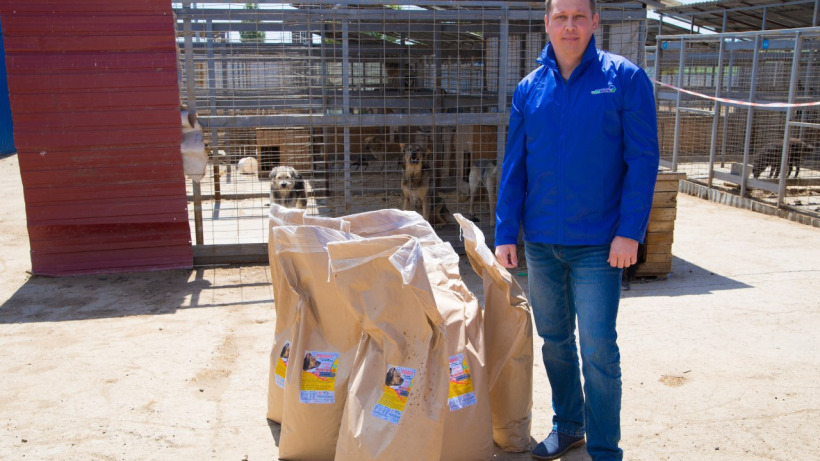 В Саратове «Бумажный пёс» собрал две тонны макулатуры для помощи приюту для животных