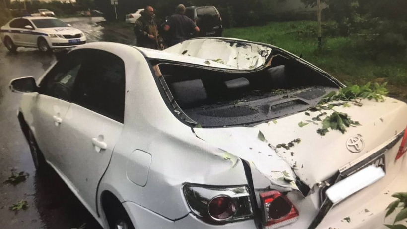 В Балашове дерево упало на проезжавшую под ним машину. Пострадала женщина