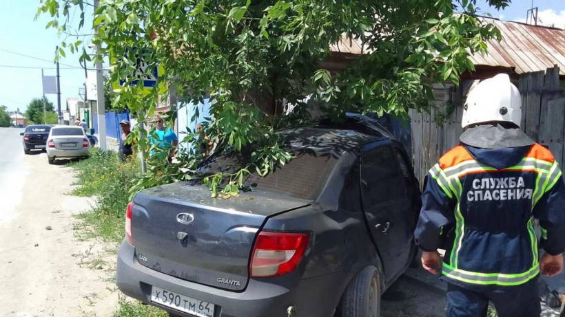 В Вольске «Гранта» протаранила дерево. Водитель и пассажир погибли