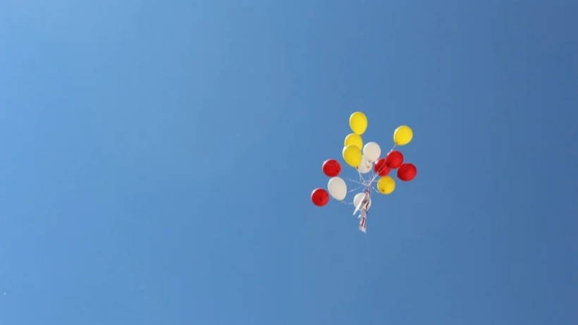 Саратовские экоактивисты предложили властям ограничить запуск воздушных шаров на массовых праздниках