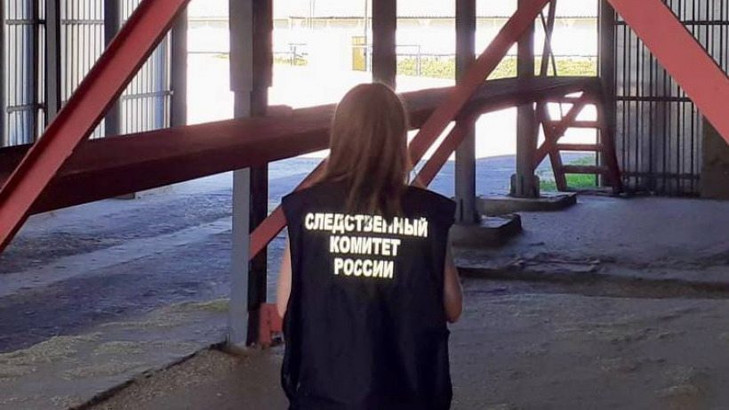 В Калининске юный рабочий задохнулся в машине с зерном. Возбуждено уголовное дело