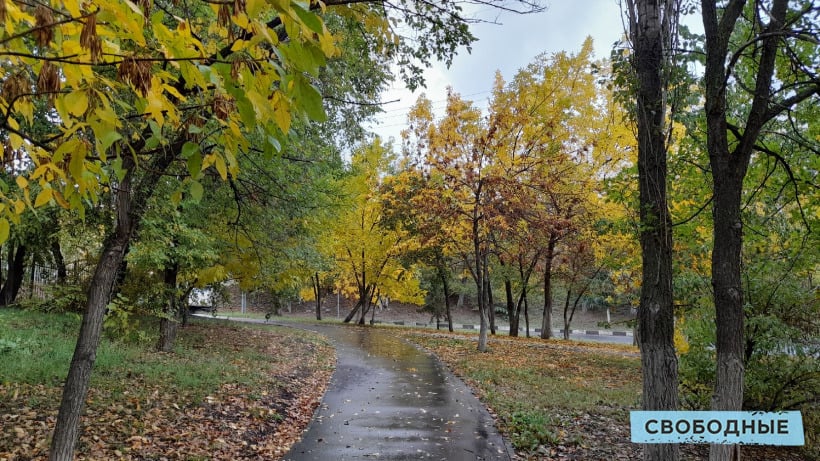 Рабочая неделя в Саратовской области начнется с дождей и закончится похолоданием