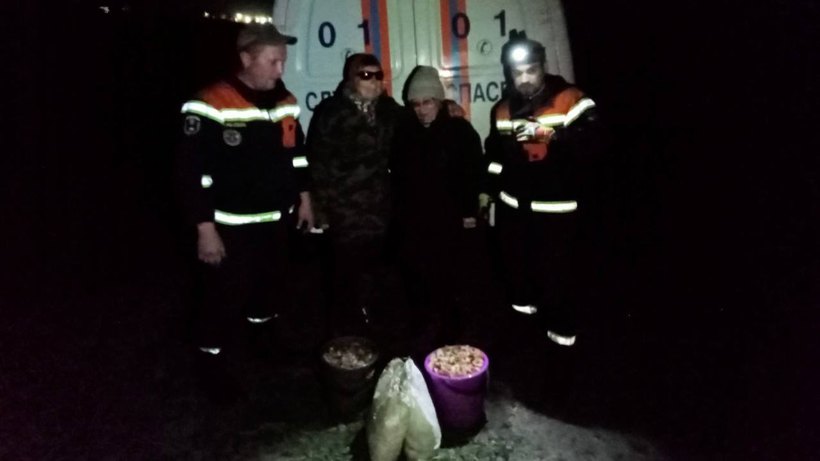 В лесу под Аткарском потерялись две женщины. Спасатели нашли их за два часа