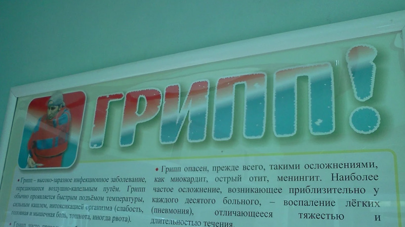 В России выявлен первый случай заражения гриппом H3N2