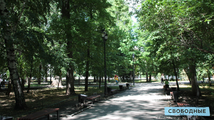 Обнародованы подробности проекта реконструкции саратовского сада «Липки». Вырубать деревья в нем запретили