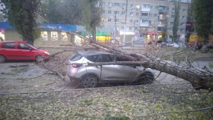 В Саратове дерево придавило два автомобиля и заблокировало проезжую часть