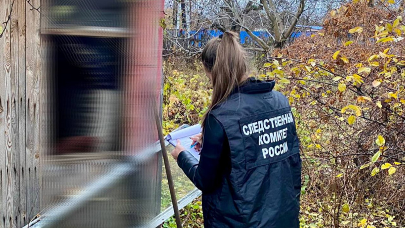 В дачном домике в Саратове женщина нашла труп соседа