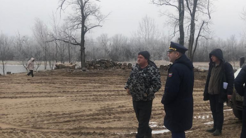 Прокуратура проверит информацию о незаконной вырубке леса в Марксовском районе