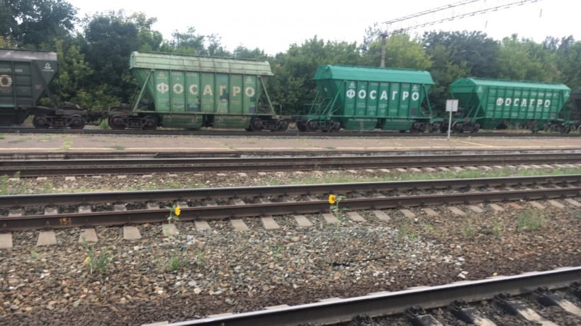На саратовской станции сошли пять вагонов поезда