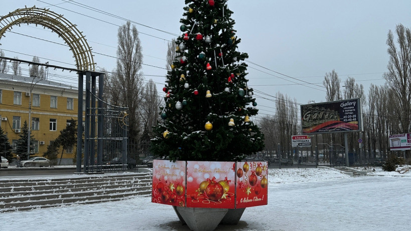 В Заводском районе выровняли накренившуюся новогоднюю ель