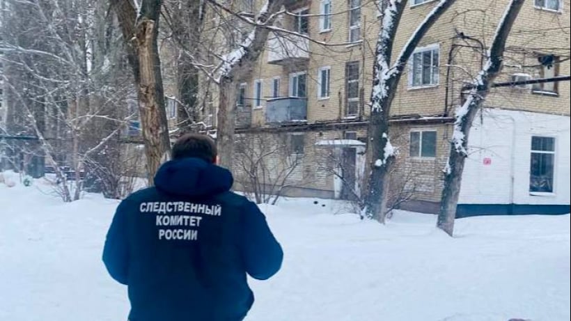 Под Энгельсом бродячая собака укусила семилетнюю девочку за лицо. Возбуждено уголовное дело