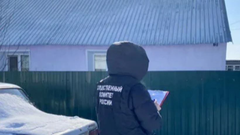 Под Энгельсом молодой мужчина упал с чердака сельского дома и погиб