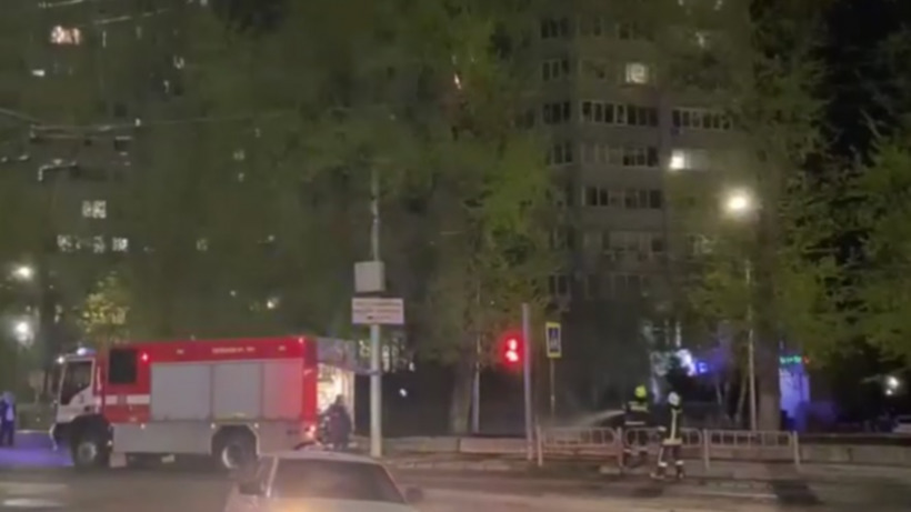 В Саратове пожарным пришлось тушить живое дерево