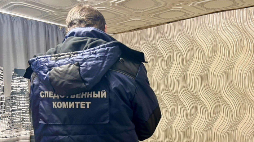 Жительницу Калининска будут судить за убийство новорожденной дочери