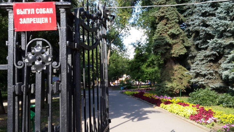 Сад Липки в Саратове закрыли до мая на обслуживание