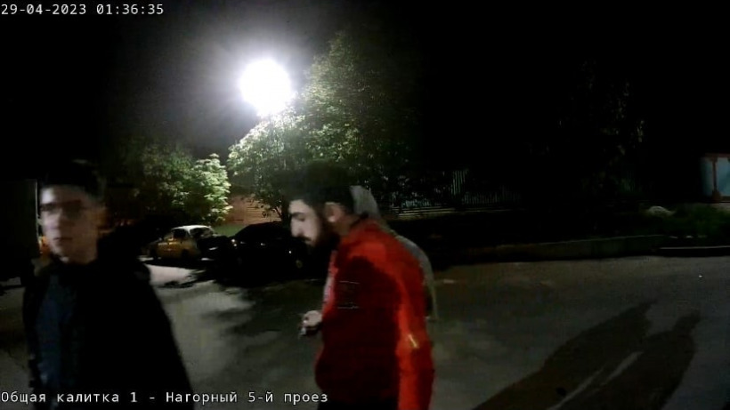 В Саратове вандалы оборвали клумбу с тюльпанами и попали на камеру