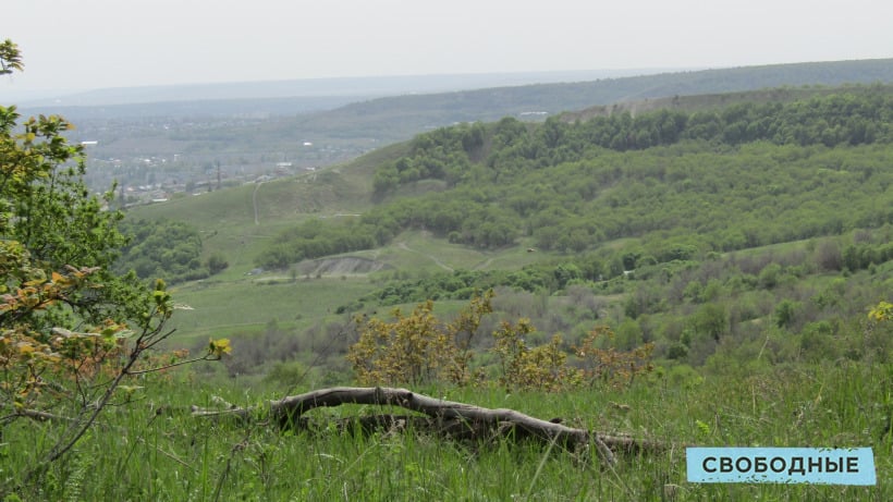 За выходные в Саратове оштрафовали двух людей за разведение костров на Кумысной поляне