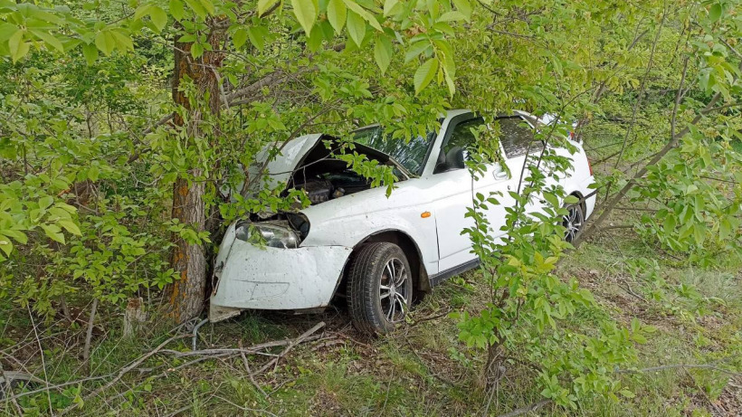 В Саратове Приора вылетела с дороги и протаранила дерево. Пассажирку и водителя госпитализировали