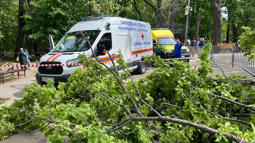 В горпарке Саратова рухнувшее дерево насмерть придавило женщину с ребенком. Еще двое детей пострадали