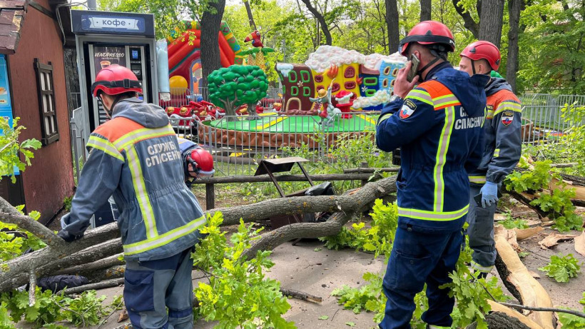 Мэр Мокроусова обещала оказать помощь детям и женщине, пострадавшим при падении дерева в саратовском парке