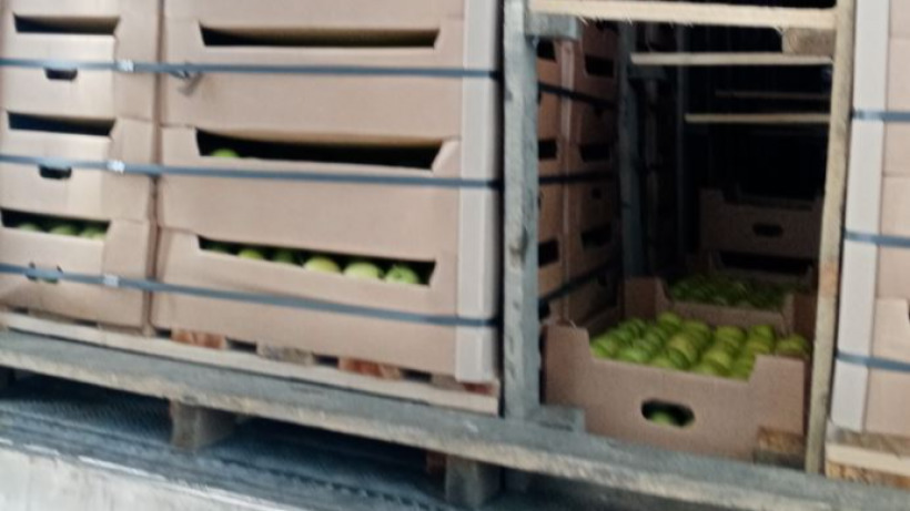Из Саратовской области в Казахстан не дали вывезти 18 тонн свежих яблок